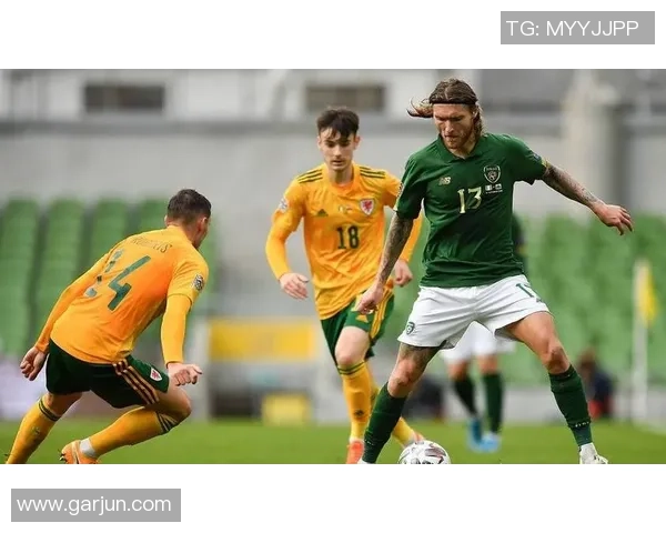 预测未来爱尔兰足球明星崛起之路与潜力分析